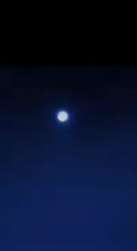 Missing Ch.1-12 (English) (Ongoing)