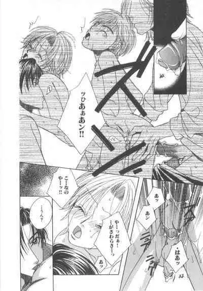 D-Pri Vol. 12
