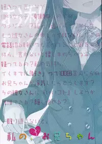 (COMIC1☆9) [TIES (Takei Ooki)] Watashi no, Onii-chan