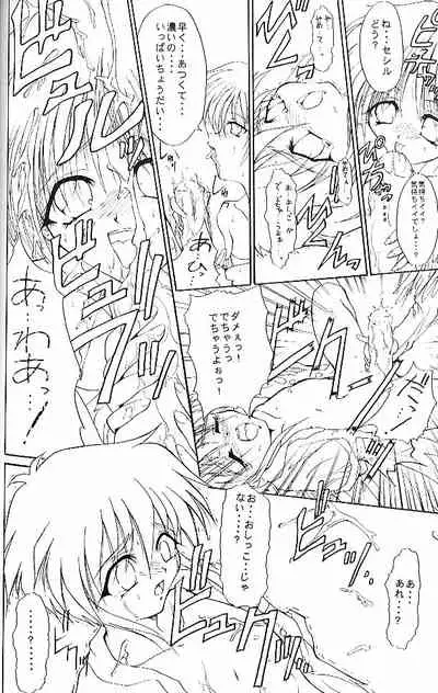 HYAKKA SEIHOU