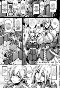 [Kazuhiro] Aijou no Injoku Elf Ch. 1-3, 8-10 [English] {Stopittarpit}