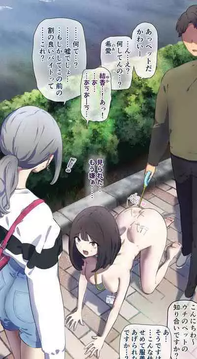 Pet walking part-time job 1 & 2