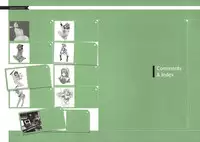 [Nishieda] Dendrobium (Decensored)