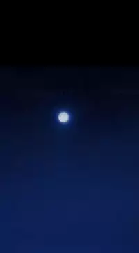 Missing Ch.1-14 (English) (Ongoing)