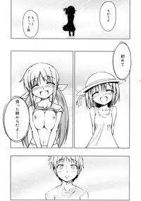 COMIC RiN 2010-11