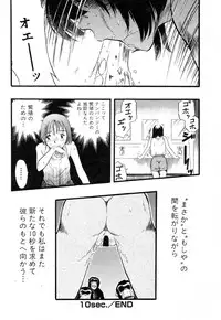 Flamingo R Vol.04