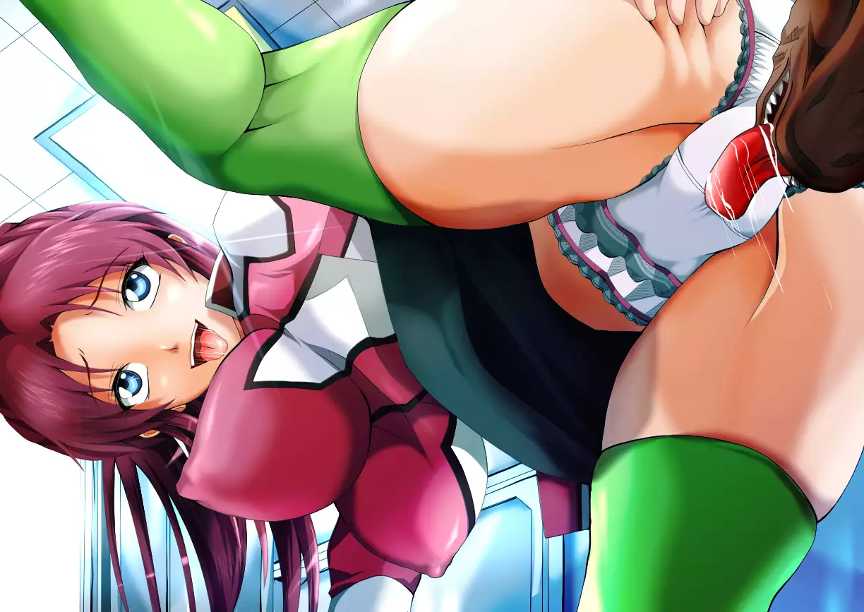 GUNDAM SEED CG SET