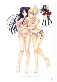Walkure Romanze More & More Visual Fan Book