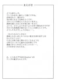 (C82) [Shadow's (Kageno Illyss)] Shadows 19 (UN-GO)