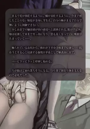 Inyo no Hisomu Machi ~Inyo o Karu Mono~