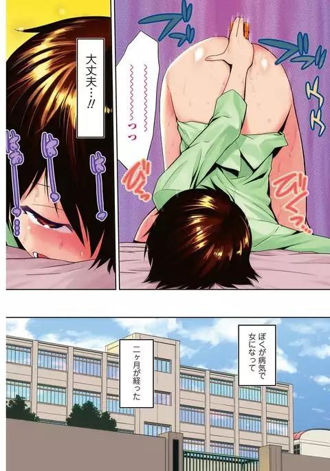 Nyotaika! Monogatari 2