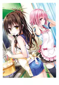[Yabuki Kentaro] To Love-Ru -Trouble- Darkness Artbook Harem Gold