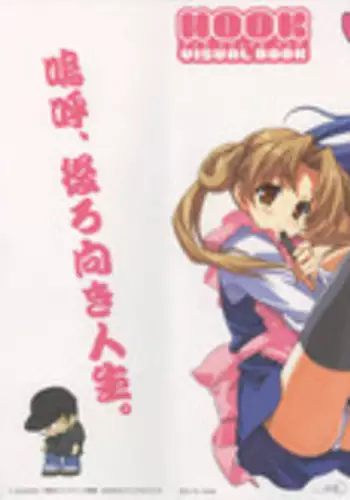 [Hook] Visual Book