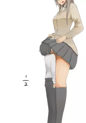 妖夢ちゃんがアダルトグッズのレビューをする話〈拘束編〉