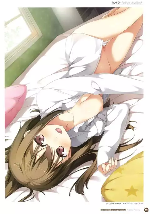 Kantoku Publicity Visual book