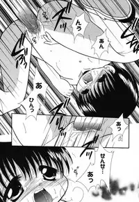 [Anthology] Pure Petit Vol. 16