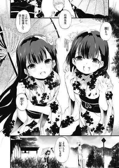 Shinme Tori
