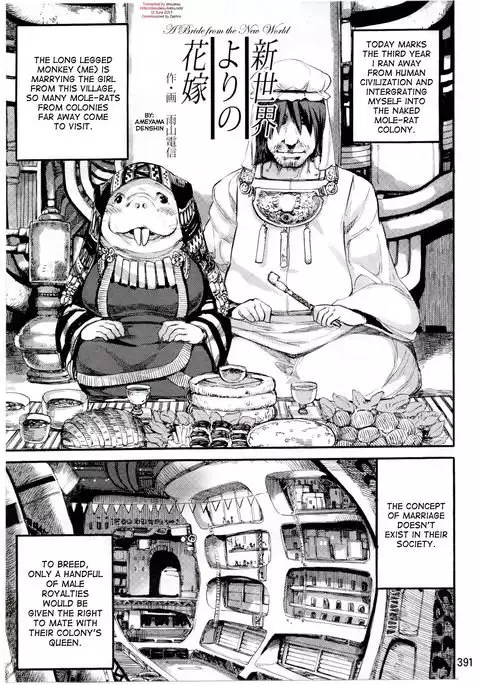 A Bride from the New World