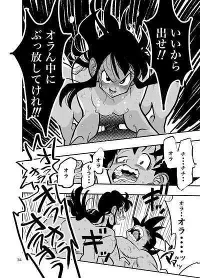 Dragon Ball Fanbook GokuxChihci