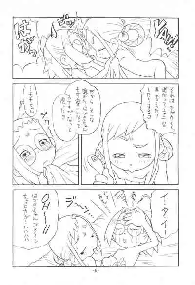 P.P. Plan 5