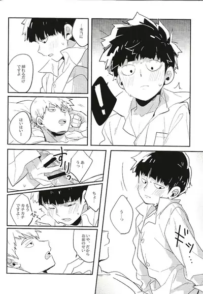 Torisetsu ~ Mob Side