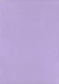 (CT13) [S-G.H. (Oona Mitsutoshi)] Suicida #13 (Kemeko Deluxe!) [English] [ac124]