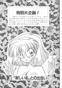Magic Knight Rayearth - Royal Green