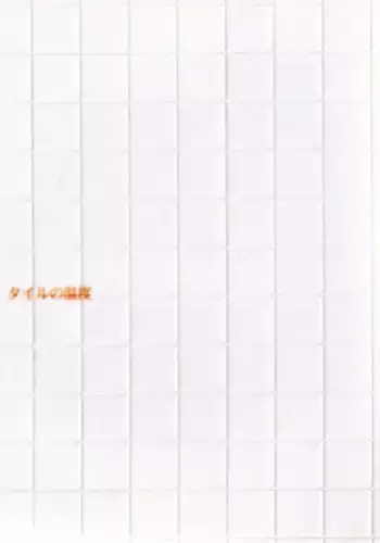 (C57) [METAL (Various)] MODEL CAPCOM (Various)