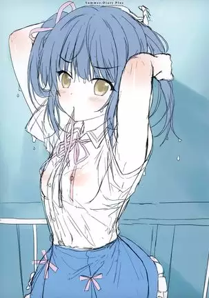 Summer Diary plus