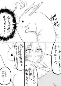 [n] Orange-kun