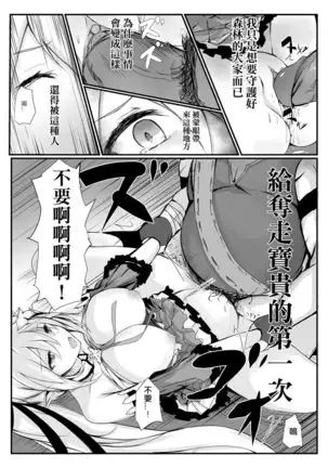 Elsword type h