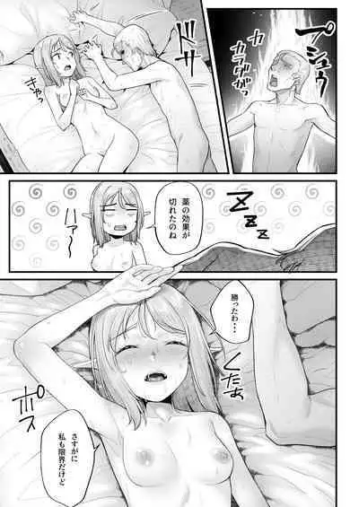 Elf no Ecchi na Oyado Elven Reflation