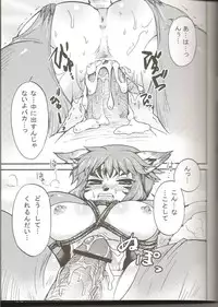 (C75) [PINK VENUS (Suma Miru)] END SUN (Final Fantasy XI)