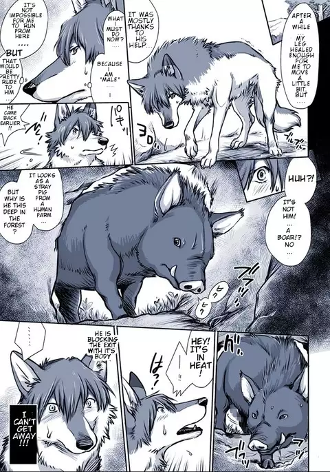 A certain dog's situation