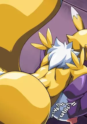 Renamon's Next Order