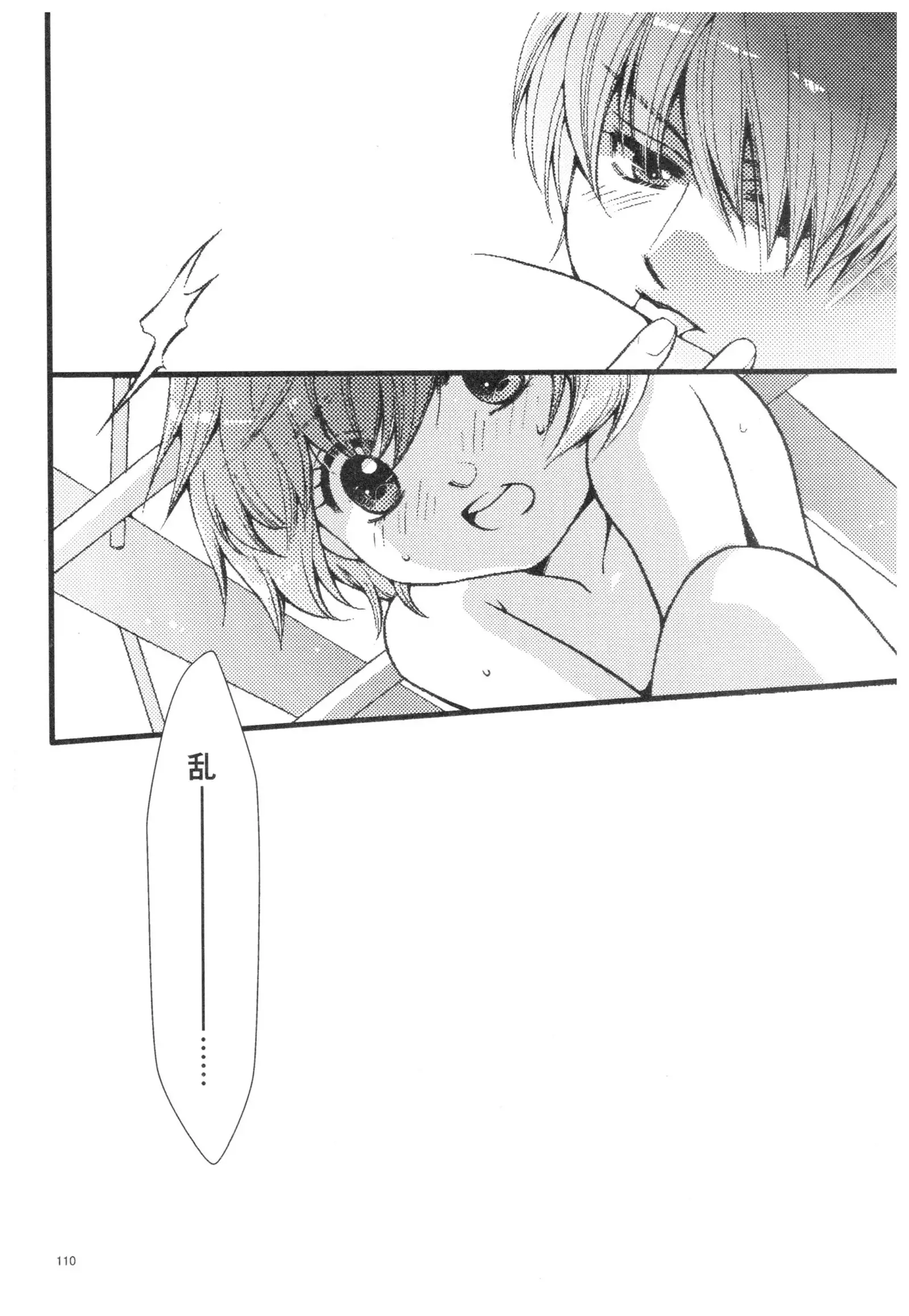 Ranma - Strawberry Life
