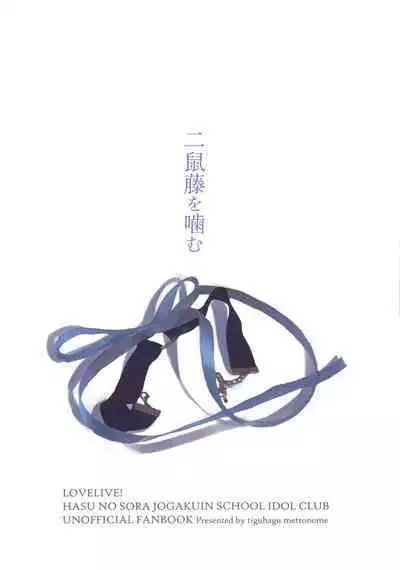 Niso Fuji o Kamu
