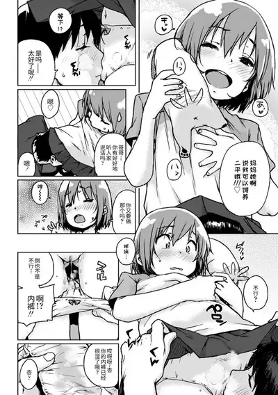 Chibikko H