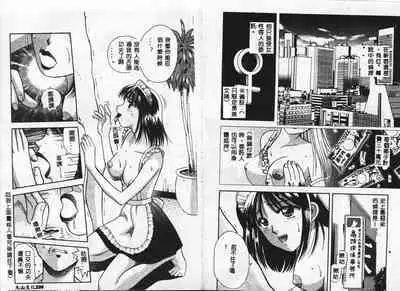 Chousa File H - Investigation File