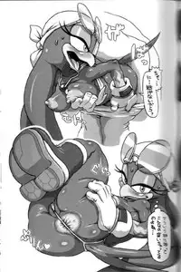 [Nezumi]Wave the Swallow