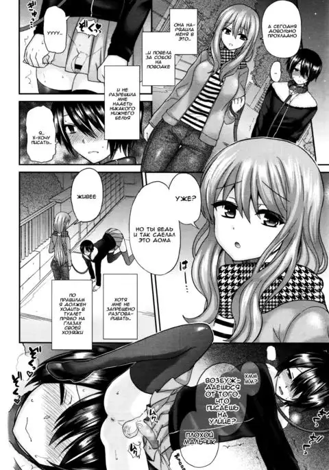 Domestic Dog | Домашняя Собаука