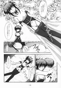 (CR29) [Takane no Hanazono (Takane Nohana)] Elixir (Sister Princess)