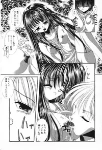 [Anthology] Pure Petit Vol. 13
