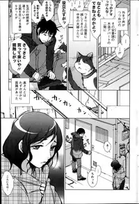 Action Pizazz HB 2014-06