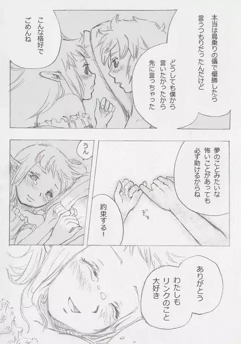 Link and Zelda...