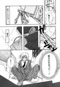 [Ryuga Syo] C no Kajitsu - A fruit of C