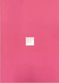 (C73) [Aji Zukushi (Kitamiya Genbu)] ALTER EGO (Mahou Shoujo Lyrical Nanoha)