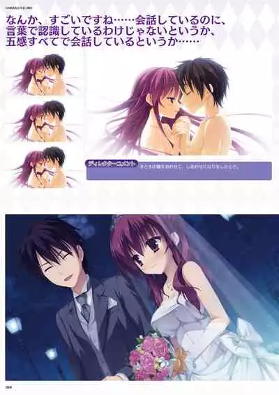 DRACU-RIOT! Official Visual Fan Book