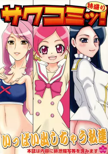 (C72) [Sakusakusakuchan (Yoroshiku Tarou)] Himegotono (Yes! Precure 5)