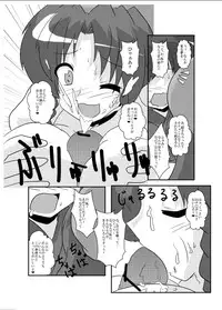 [Ameshoo (Mikaduki Neko)] Touhou TS Monogatari ~Meiling hen~ (Touhou Project) [Digital]